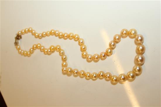 Cultured pearl necklace(-)